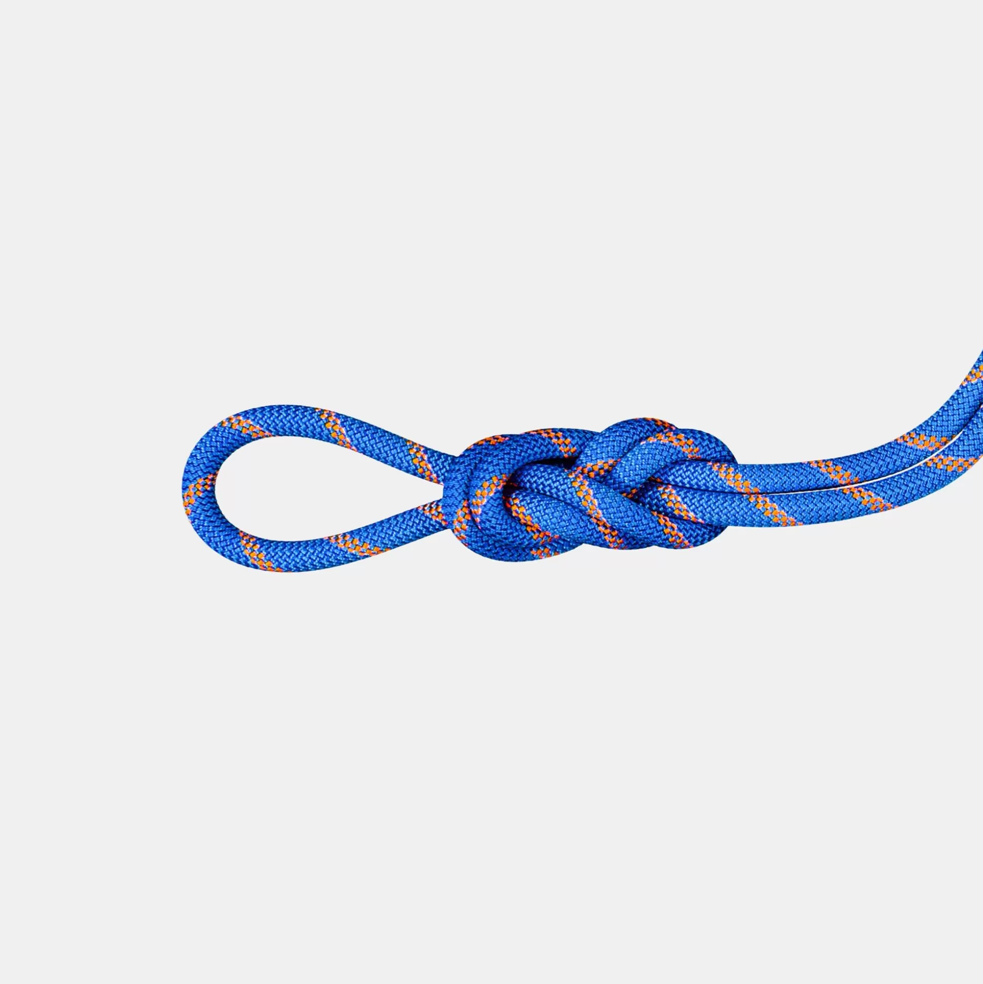 Mammut 9.0 Alpine Sender Dry Rope- Climbing Equipment