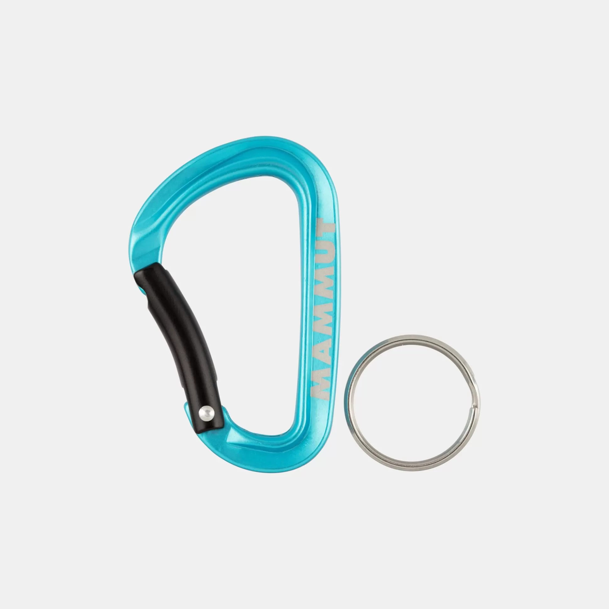 Mammut Mini Carabiner Classic Keylock S- Climbing Equipment